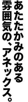 あたたかみのある雰囲気の、アネックス